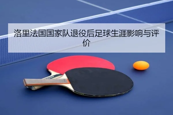 洛里法国国家队退役后足球生涯影响与评价